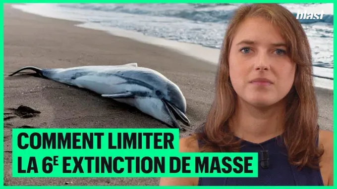Comment limiter la 6e extinction de masse ?  