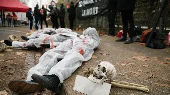 Qatar : La recette strasbourgeoise anti Coupe du monde