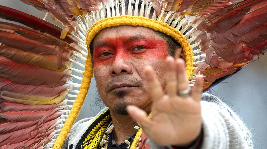 Amazonie, l’appel de la forêt