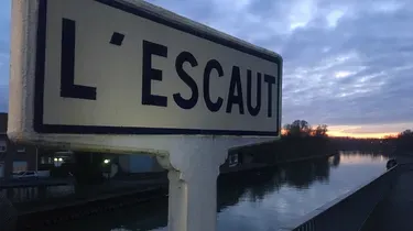 Tereos (partie 2) : l’empire du sucre