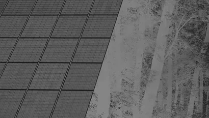 Le photovoltaïque taille à la hache les forêts du Sud et gagne l’est