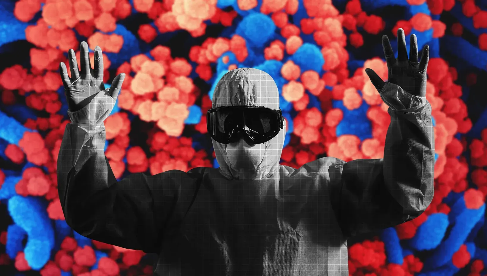 Viral 5 / Sortir de la logique du pass