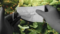 Viral 7 / Il n'y a pas de consensus