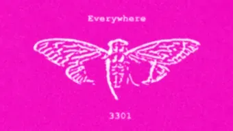 Cicada 3301: la grande navigation vers nulle part