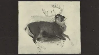 Clientélisme : Macron détourne les aides à la biodiversité au profit des chasseurs