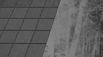 Le photovoltaïque taille à la hache les forêts du Sud et gagne l’est