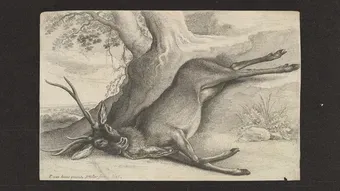 Les nouveaux cadeaux électoraux d’Emmanuel Macron pour les chasseurs