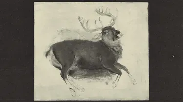 Clientélisme : Macron détourne les aides à la biodiversité au profit des chasseurs