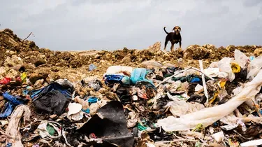 Déchets (1/2) : Des tonnes sonnantes et fumantes
