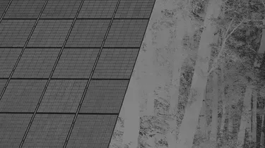 Le photovoltaïque taille à la hache les forêts du Sud et gagne l’est