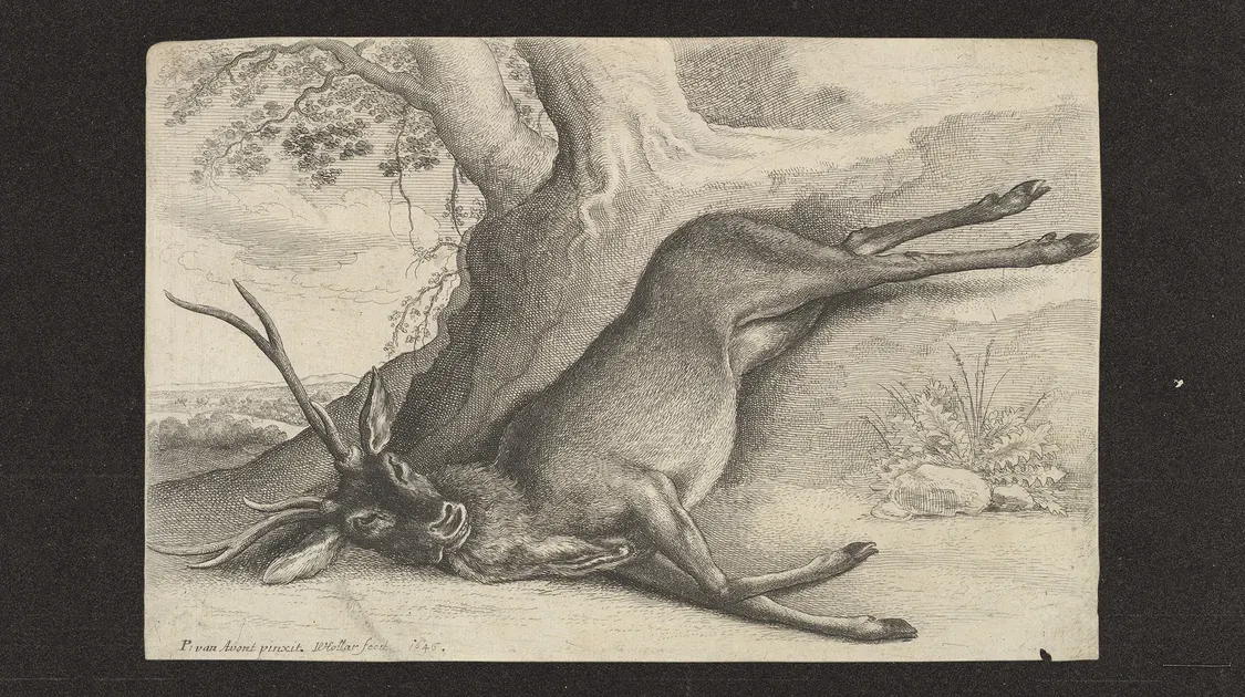 Les nouveaux cadeaux électoraux d’Emmanuel Macron pour les chasseurs