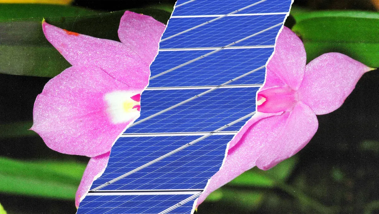 Guyane française : le projet de  Centrale Électrique de l’Ouest Guyanais (CEOG) menace la forêt et les droits du peuple Kali’Na. 