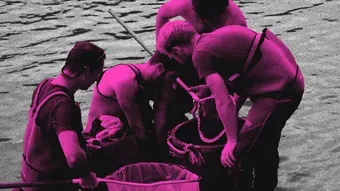 Dominique Marchais, réalisateur : « Les interconnexions des rivières peuvent nous servir à penser nos solidarités »