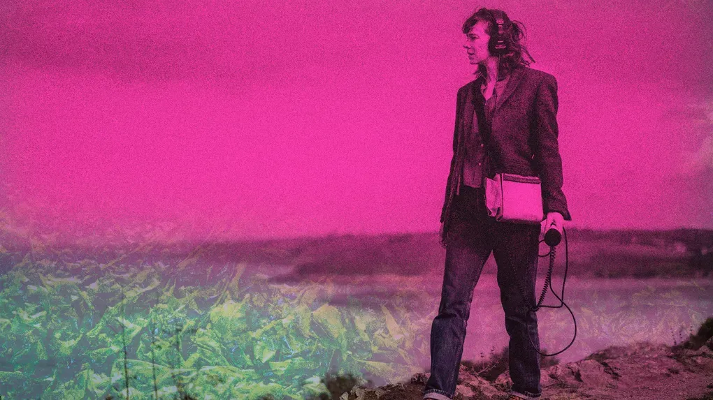 Les algues vertes : plages amères