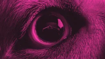 The Dark Side of the Moon ré-enregistré par Roger Waters : le côté sombre de la farce