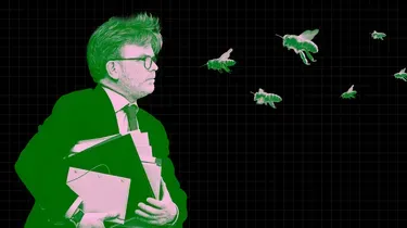 Effondrement de la biodiversité : vers une condamnation de l’Etat pour inaction 