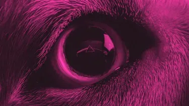 The Dark Side of the Moon ré-enregistré par Roger Waters : le côté sombre de la farce