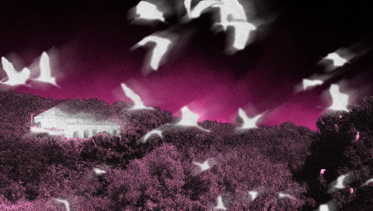 Indivision, fable immobilière sur un monde en surchauffe(s) 