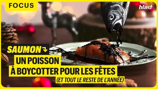 Saumon : Un poisson à boycotter pour les fêtes (et tout le reste de l'année)