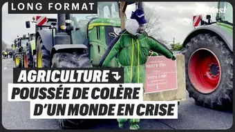 Agriculture : poussée de colère d'un monde en crise