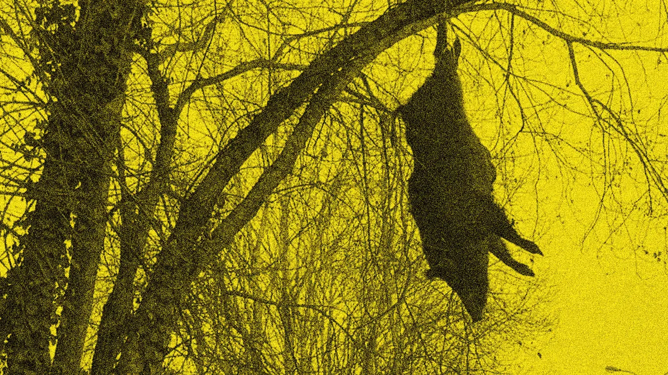 Salon de l’agriculture : La CR47, la stratégie du choc