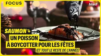 Saumon : Un poisson à boycotter pour les fêtes (et tout le reste de l'année)