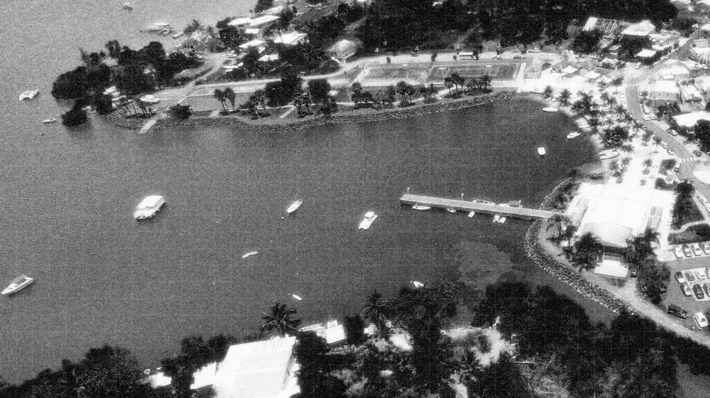 Vol de terre et guerre familiale : La Martinique s’enflamme sur la propriété d’un lotissement