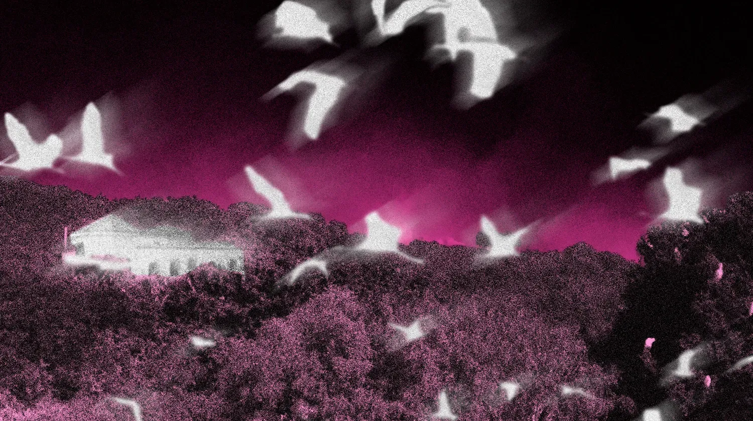 Indivision, fable immobilière sur un monde en surchauffe(s)