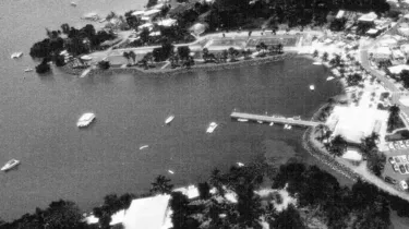 Vol de terre et guerre familiale : La Martinique s’enflamme sur la propriété d’un lotissement