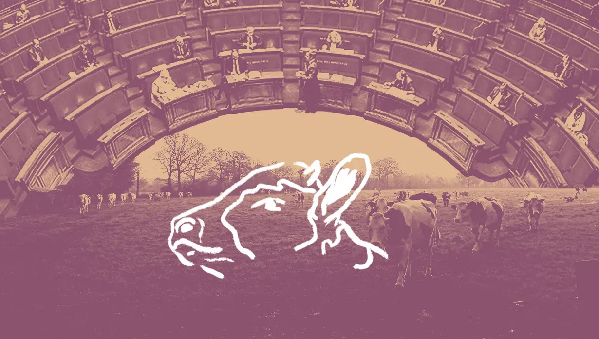 Crise des exploitant·es, lobbying, loi Duplomb : l'agriculture paysanne menace de disparaître