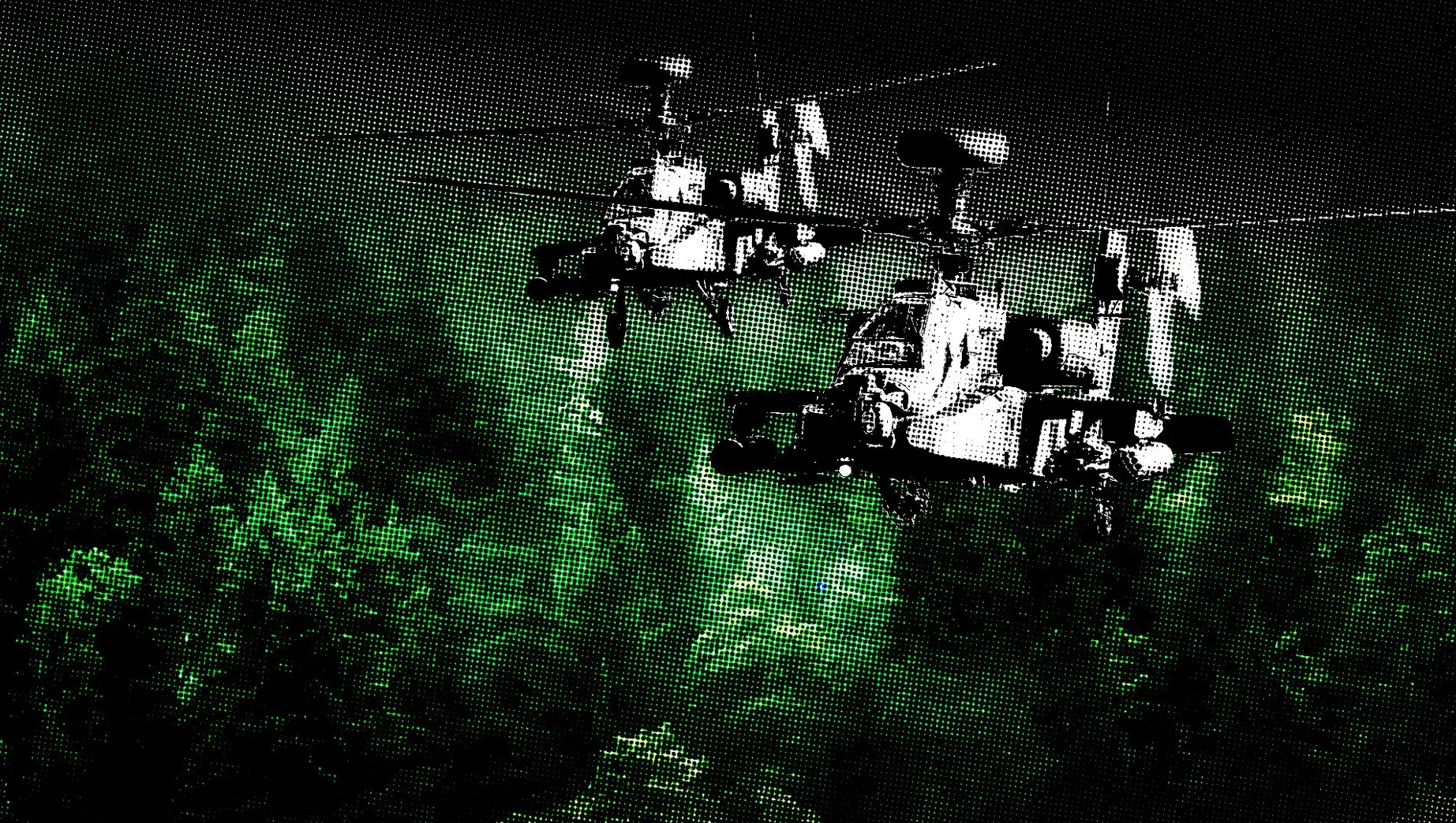 « Dernier passage » : une chasse à l’homme dans la forêt de Białowieża vue de l'intérieur