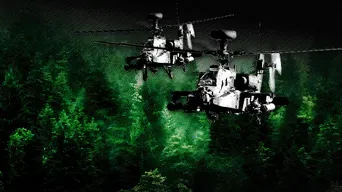 « Dernier passage » : une chasse à l’homme dans la forêt de Białowieża vue de l'intérieur