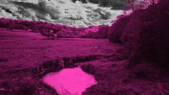 « Biorégion » : cinquante ans de préparation à l’autonomie politique