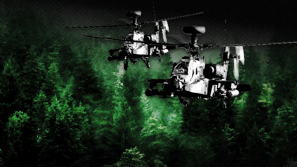 « Dernier passage » : une chasse à l’homme dans la forêt de Białowieża vue de l'intérieur