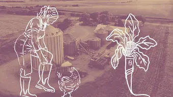 Divorce entre agriculteur·ices : la protection des fermes ne doit pas se faire au détriment des femmes