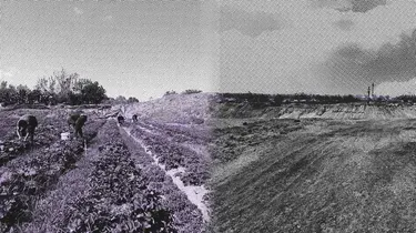 À Gaza, l’écocide comme arme de génocide