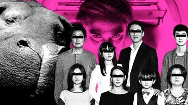 Bong Joon-ho, chroniqueur des fractures sociales