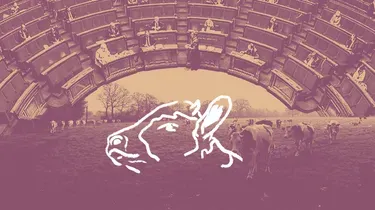 Crise des exploitant·es, lobbying, loi Duplomb : l'agriculture paysanne menace de disparaître