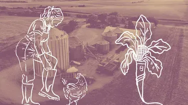 Divorce entre agriculteur·ices : la protection des fermes ne doit pas se faire au détriment des femmes