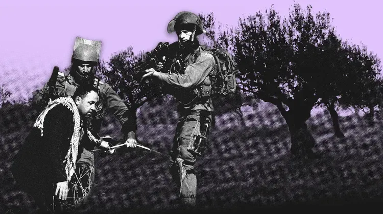 En Palestine, l’impossible récolte des olives