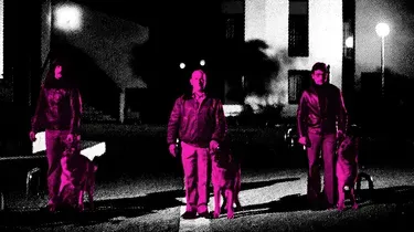 « Les chiens » d’Alain Jessua, conte prophétique et funèbre du macro-lepénisme