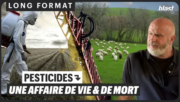 Pesticides : une affaire de vie et de mort