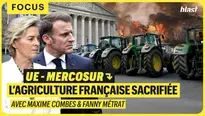 UE - Mercosur : l’agriculture française sacrifiée
